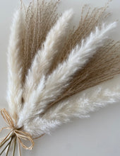 Load image into Gallery viewer, White Natural Pampas Grass | Fluffy Scandi Boho Home Decor