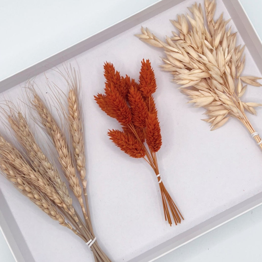 Bakers Bunches - Autumnal - Dried Flowers Decorations