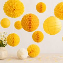 Load image into Gallery viewer, My First Bee-Day Party Pack
