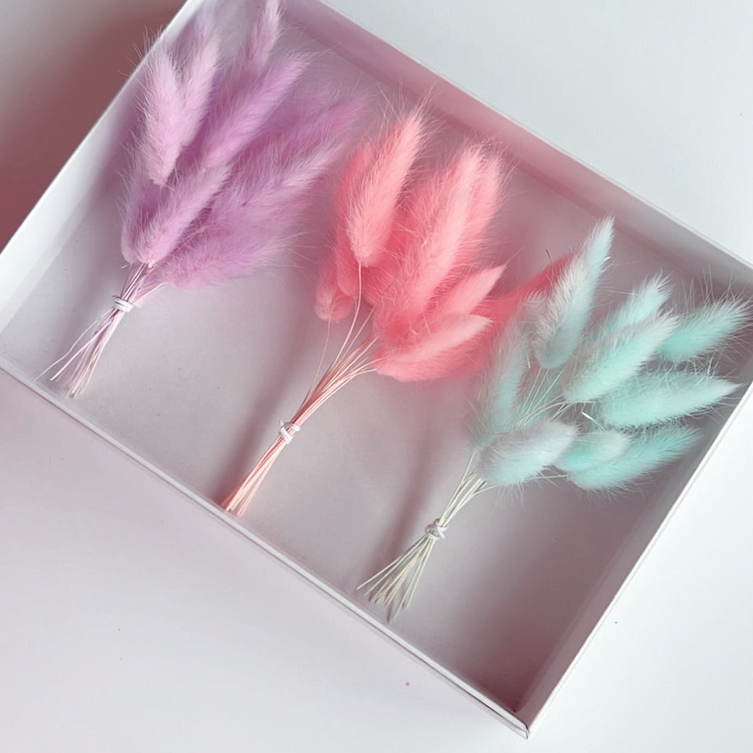 Bakers Bunches - Pastel Bunny Tails - Dried Flowers Decorations
